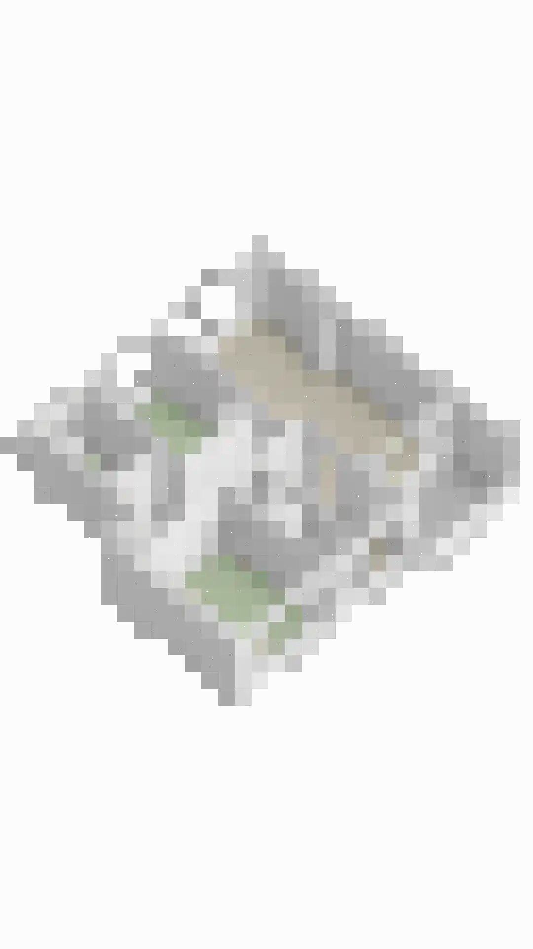 Veldmaarschalk Montgomerylaan 755 Eindhoven thumbnail 38