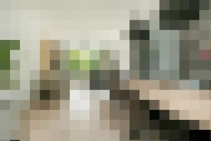Veldmaarschalk Montgomerylaan 759 Eindhoven thumbnail 10