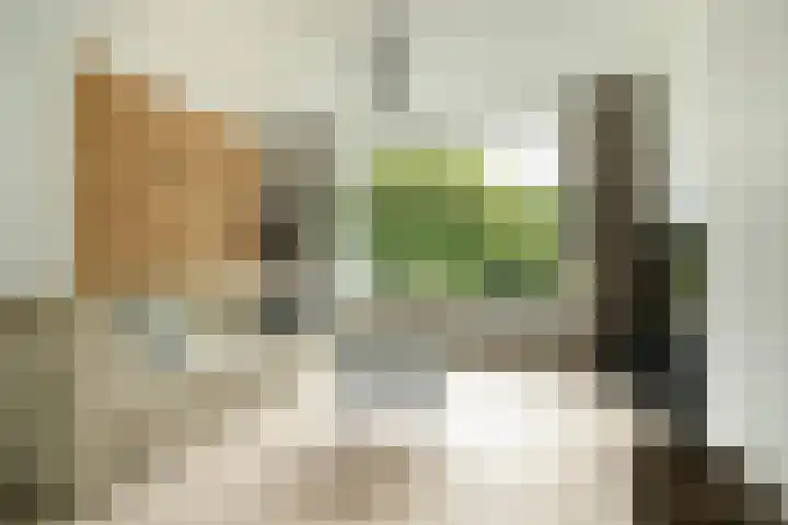 Veldmaarschalk Montgomerylaan 759 Eindhoven thumbnail 12