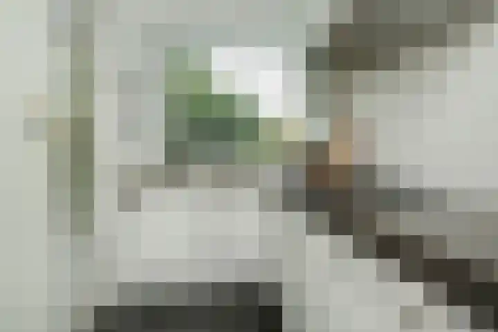 Veldmaarschalk Montgomerylaan 759 Eindhoven thumbnail 15