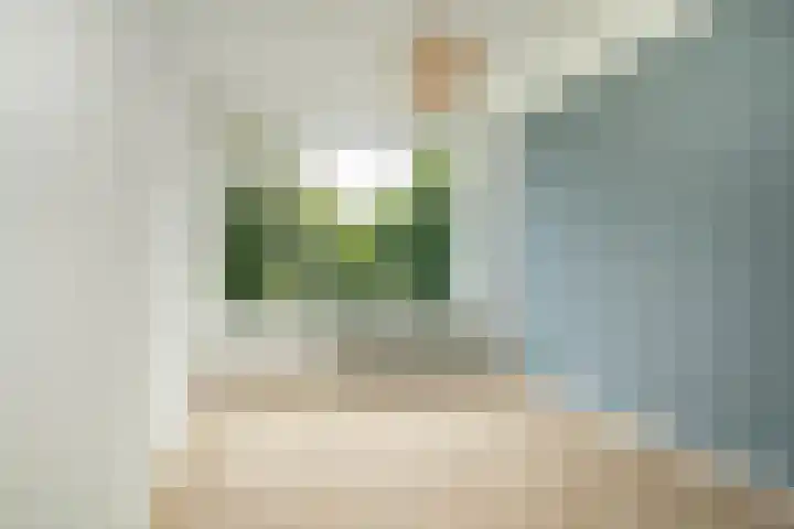 Veldmaarschalk Montgomerylaan 759 Eindhoven thumbnail 20