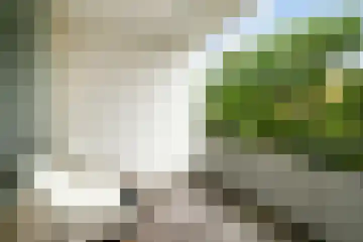 Veldmaarschalk Montgomerylaan 759 Eindhoven thumbnail 23