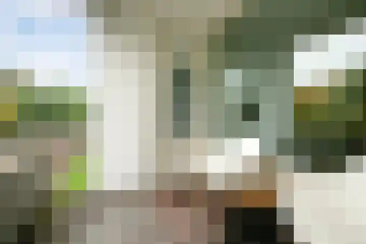 Veldmaarschalk Montgomerylaan 759 Eindhoven thumbnail 24