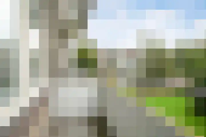 Veldmaarschalk Montgomerylaan 759 Eindhoven thumbnail 25