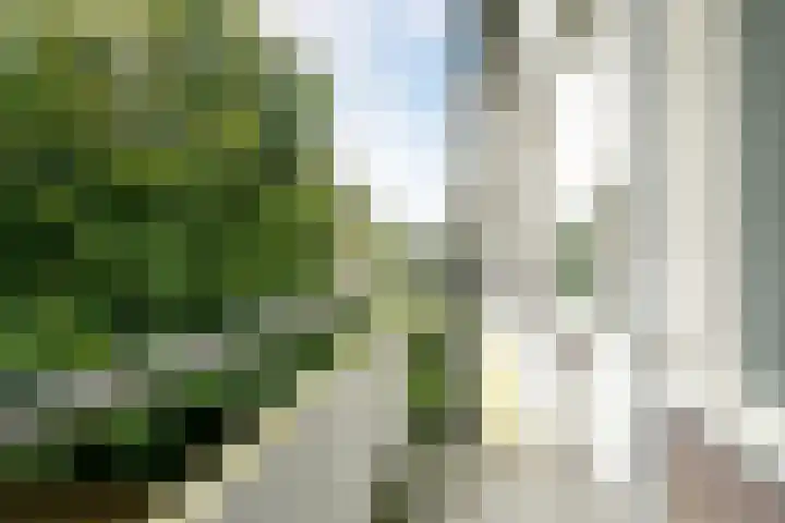 Veldmaarschalk Montgomerylaan 759 Eindhoven thumbnail 26