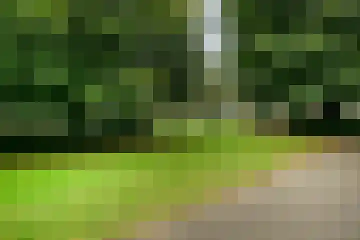 Veldmaarschalk Montgomerylaan 759 Eindhoven thumbnail 27