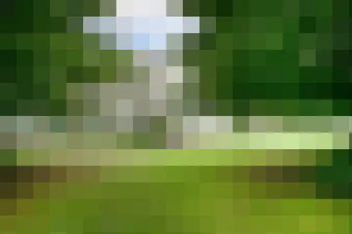 Veldmaarschalk Montgomerylaan 759 Eindhoven thumbnail 28