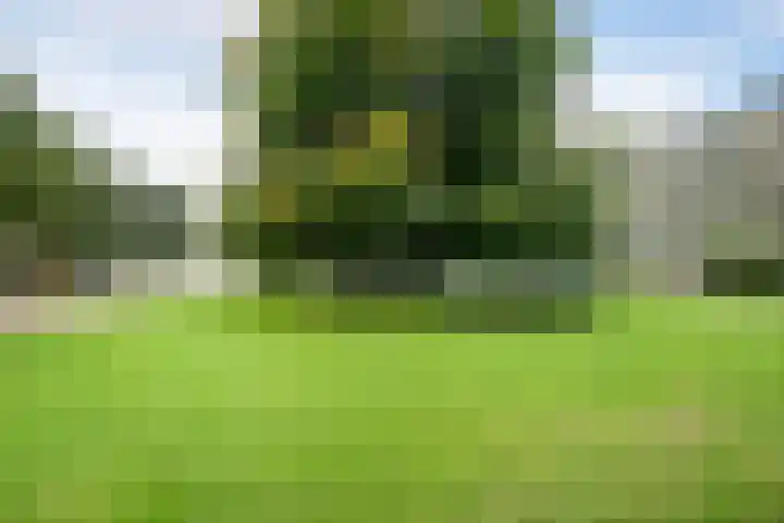 Veldmaarschalk Montgomerylaan 759 Eindhoven thumbnail 29