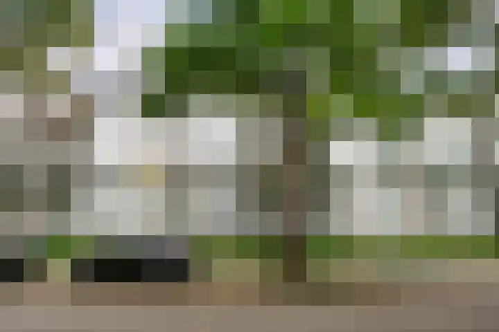 Veldmaarschalk Montgomerylaan 759 Eindhoven thumbnail 30