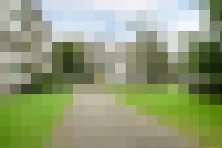 Veldmaarschalk Montgomerylaan 759 Eindhoven thumbnail 31
