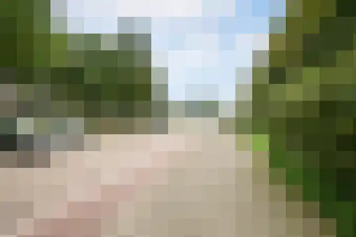 Veldmaarschalk Montgomerylaan 759 Eindhoven thumbnail 32