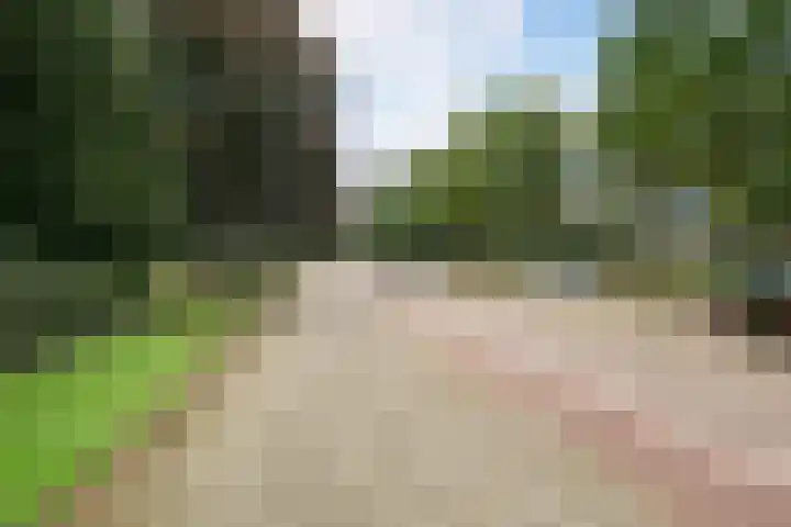 Veldmaarschalk Montgomerylaan 759 Eindhoven thumbnail 33