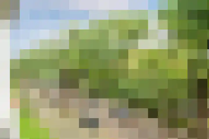 Veldmaarschalk Montgomerylaan 759 Eindhoven thumbnail 34