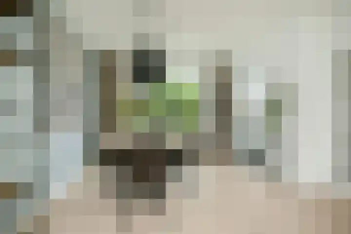 Veldmaarschalk Montgomerylaan 759 Eindhoven thumbnail 7