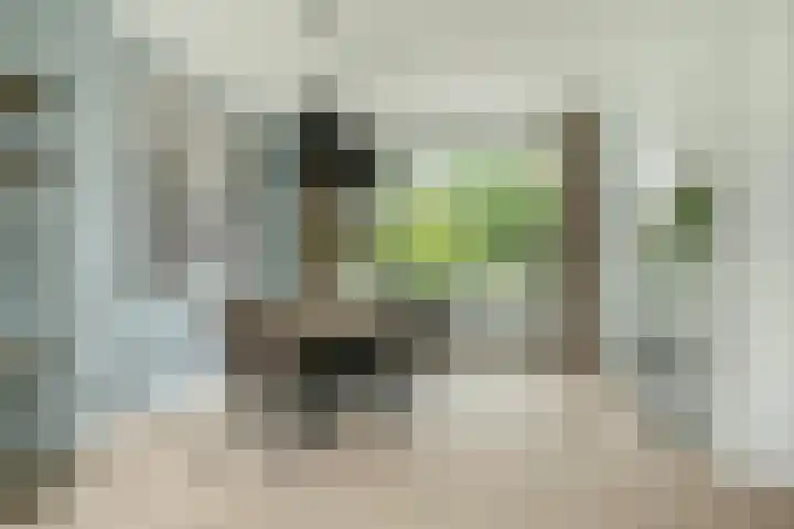 Veldmaarschalk Montgomerylaan 759 Eindhoven thumbnail 8