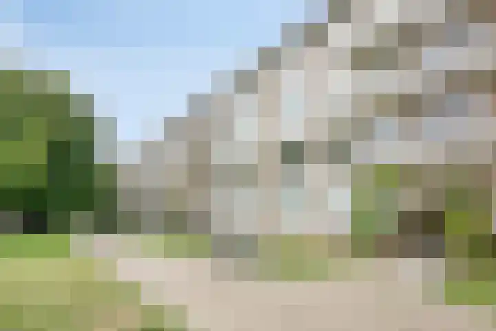 Veldmaarschalk Montgomerylaan 771 Eindhoven thumbnail 10