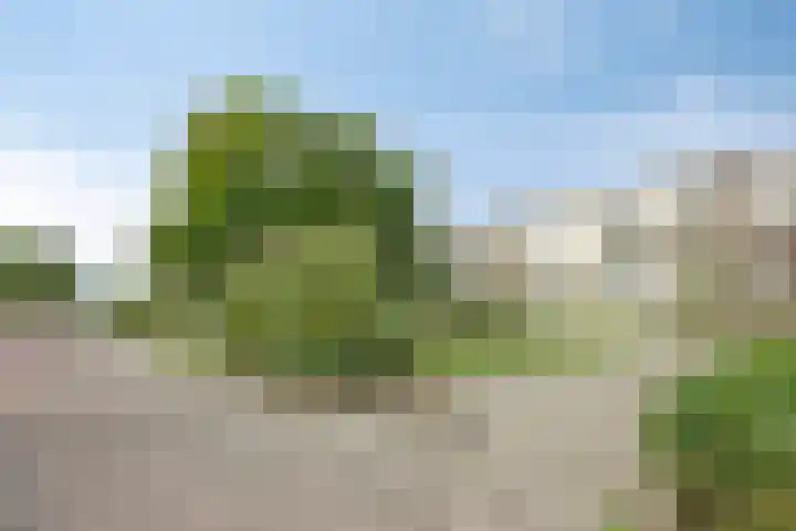Veldmaarschalk Montgomerylaan 771 Eindhoven thumbnail 11