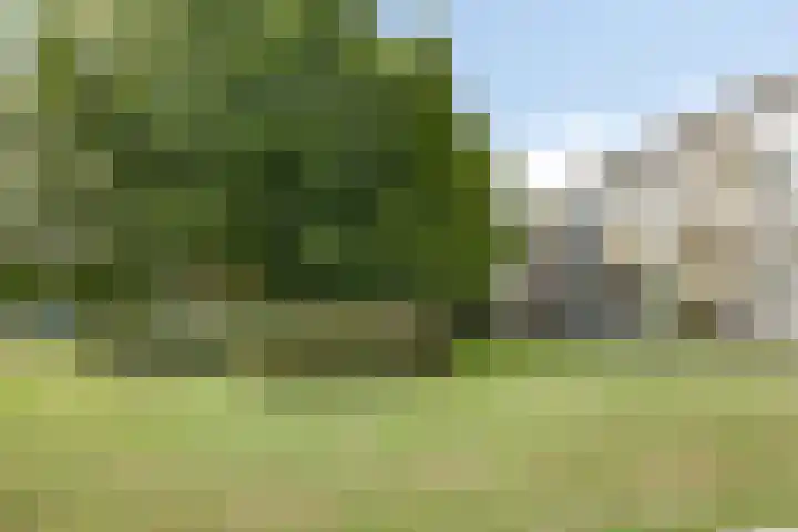Veldmaarschalk Montgomerylaan 771 Eindhoven thumbnail 12