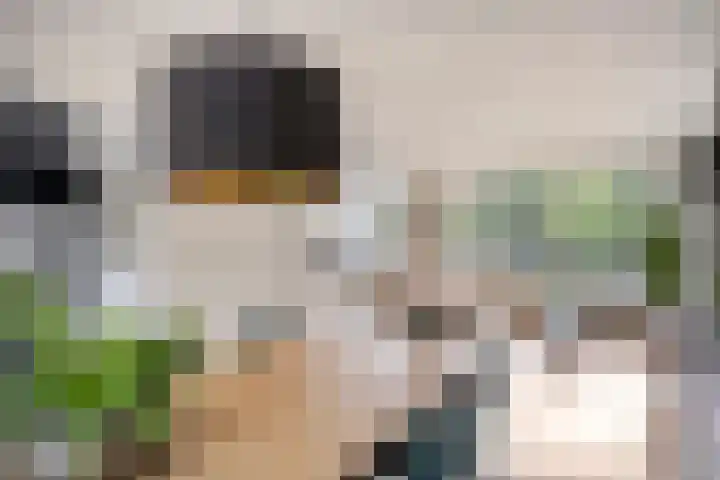 Veldmaarschalk Montgomerylaan 771 Eindhoven thumbnail 18