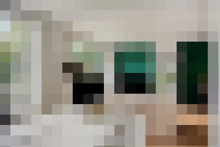 Veldmaarschalk Montgomerylaan 771 Eindhoven thumbnail 19