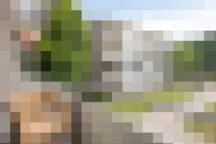 Veldmaarschalk Montgomerylaan 771 Eindhoven thumbnail 21