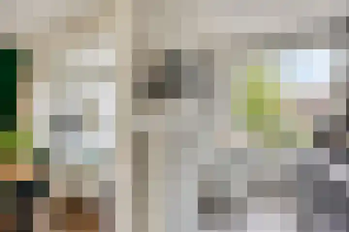 Veldmaarschalk Montgomerylaan 771 Eindhoven thumbnail 23