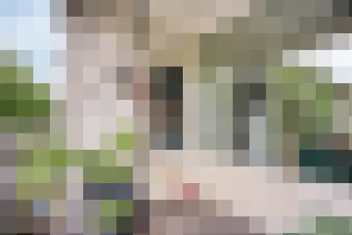 Veldmaarschalk Montgomerylaan 771 Eindhoven thumbnail 24
