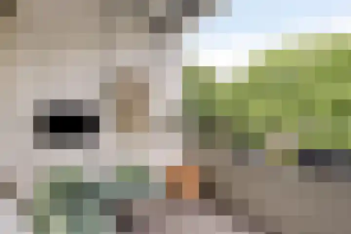 Veldmaarschalk Montgomerylaan 771 Eindhoven thumbnail 25