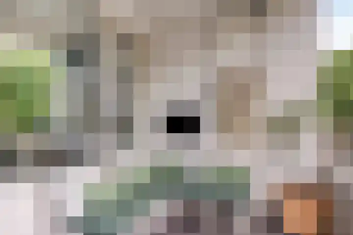 Veldmaarschalk Montgomerylaan 771 Eindhoven thumbnail 5