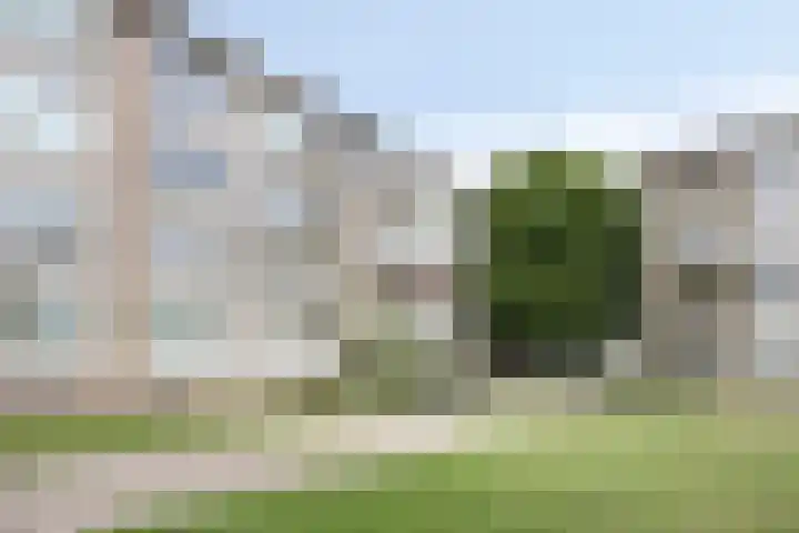 Veldmaarschalk Montgomerylaan 771 Eindhoven thumbnail 8