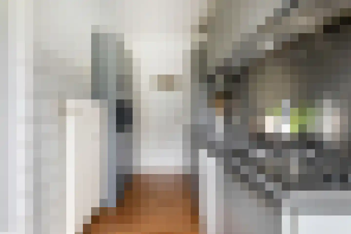 Veldmaarschalk Montgomerylaan 785 Eindhoven thumbnail 19