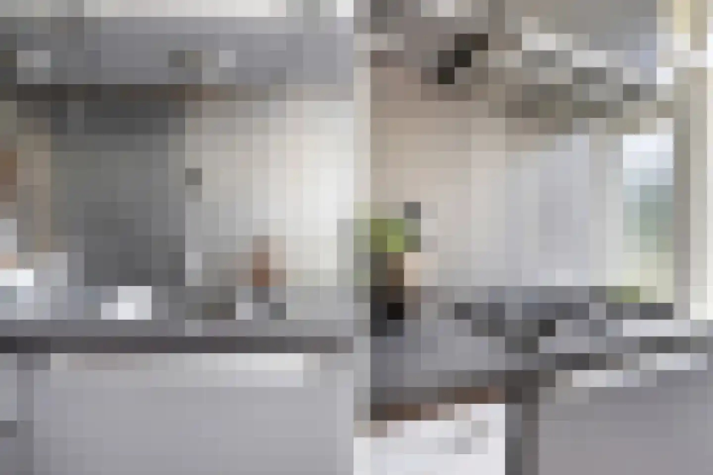 Veldmaarschalk Montgomerylaan 785 Eindhoven thumbnail 20