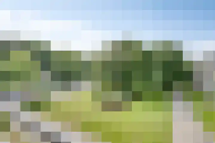 Veldmaarschalk Montgomerylaan 793 Eindhoven thumbnail 24
