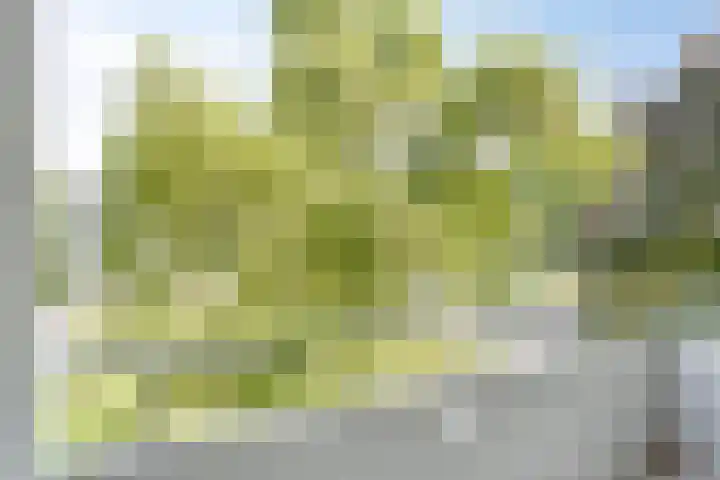Veldmaarschalk Montgomerylaan 793 Eindhoven thumbnail 25