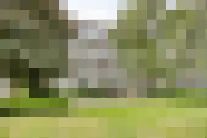 Veldmaarschalk Montgomerylaan 793 Eindhoven thumbnail 28