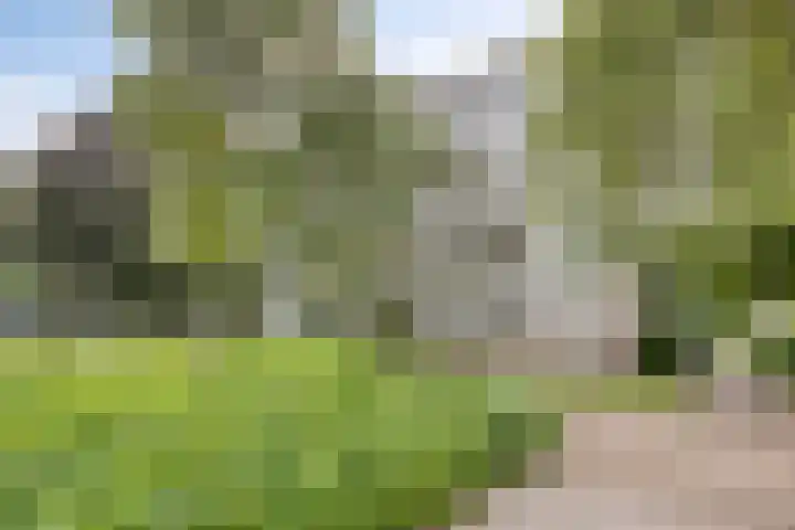 Veldmaarschalk Montgomerylaan 793 Eindhoven thumbnail 33