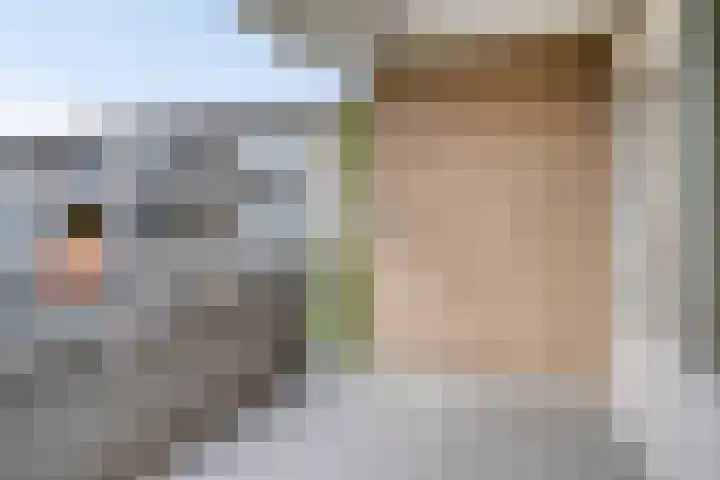 Veldmaarschalk Montgomerylaan 793 Eindhoven thumbnail 5