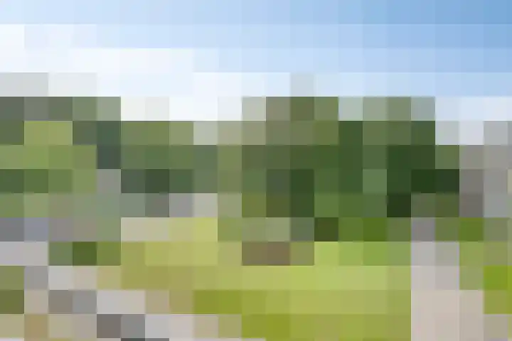 Veldmaarschalk Montgomerylaan 793 Eindhoven thumbnail 6