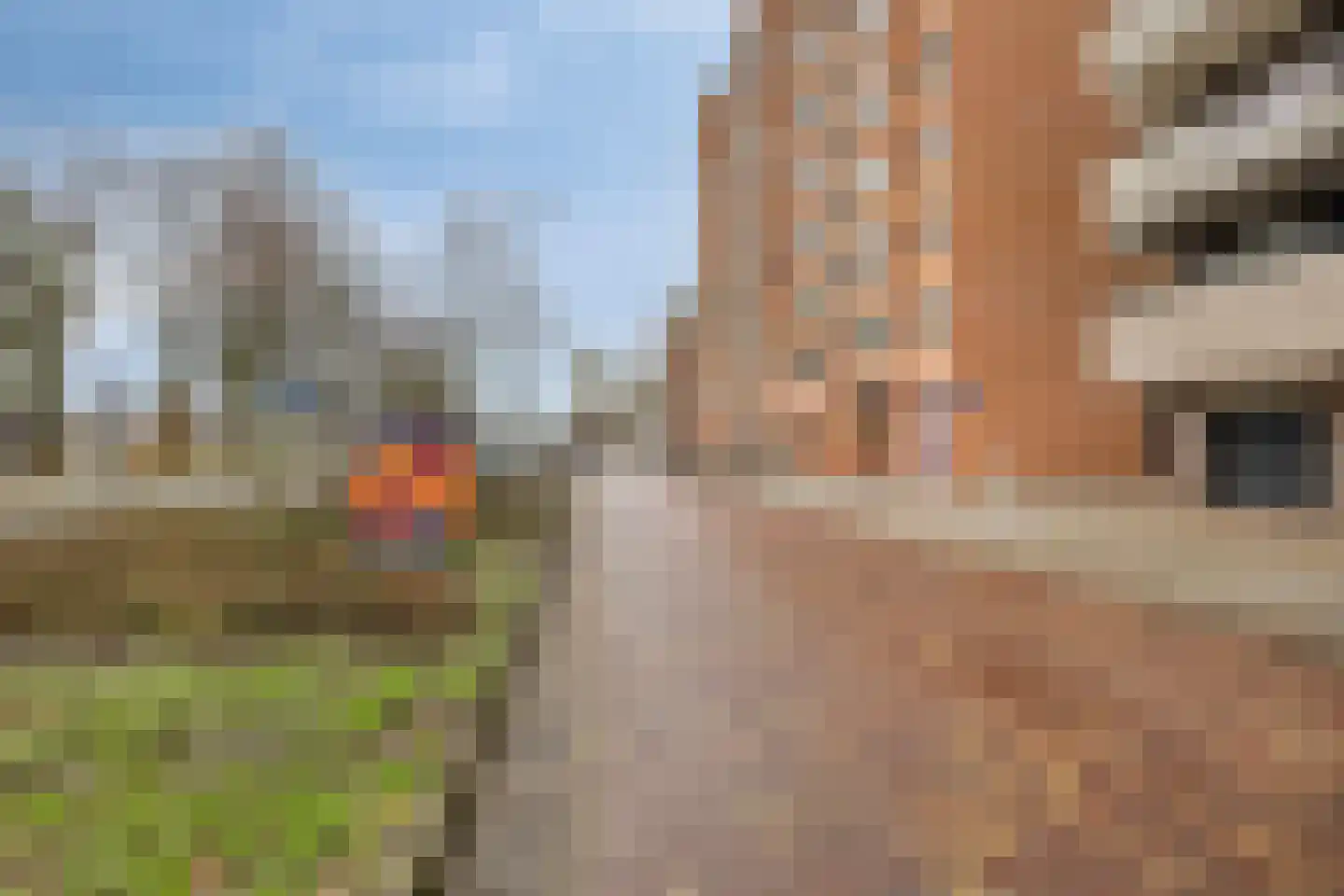 Veldmaarschalk Montgomerylaan 83 Eindhoven thumbnail 4