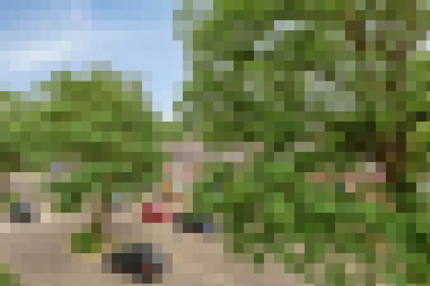 Veldmaarschalk Montgomerylaan 841 Eindhoven thumbnail 20