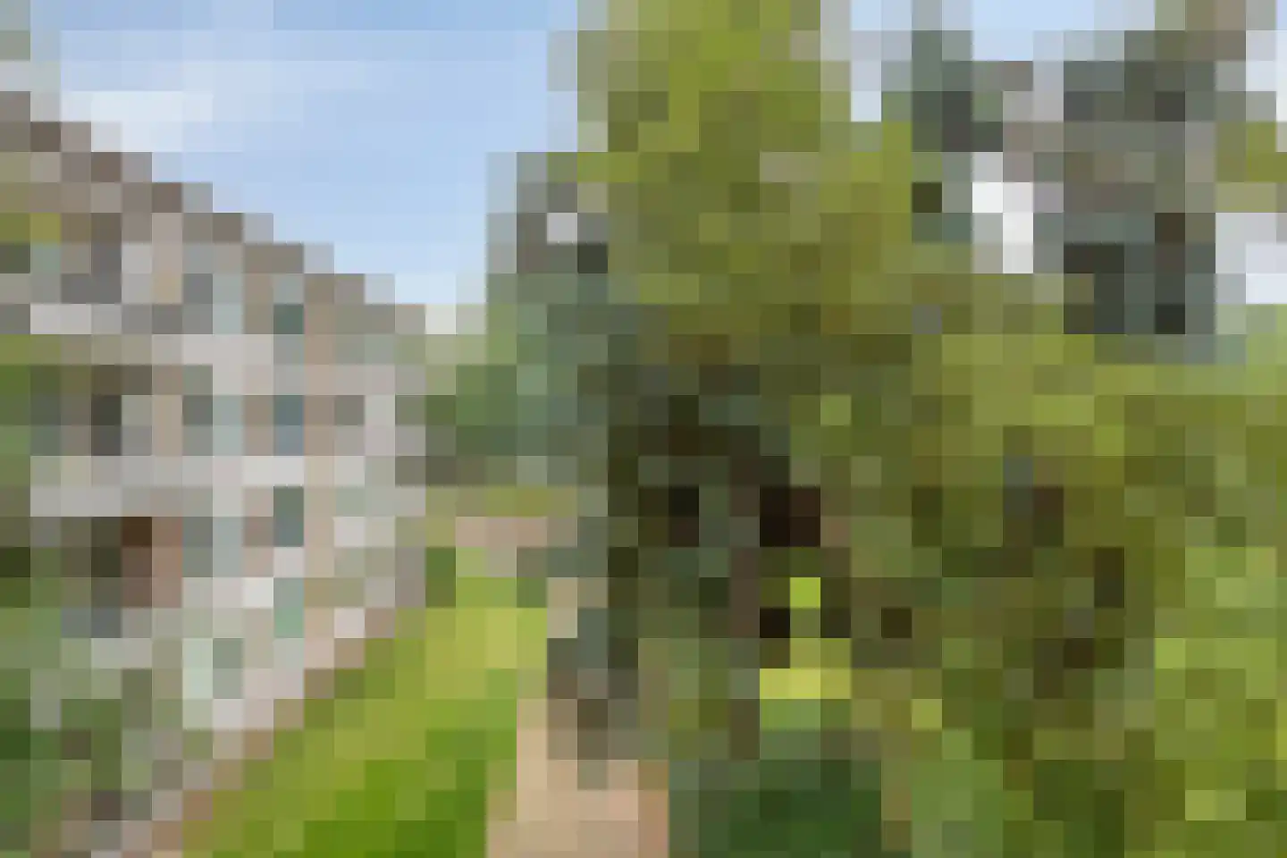 Veldmaarschalk Montgomerylaan 841 Eindhoven thumbnail 25