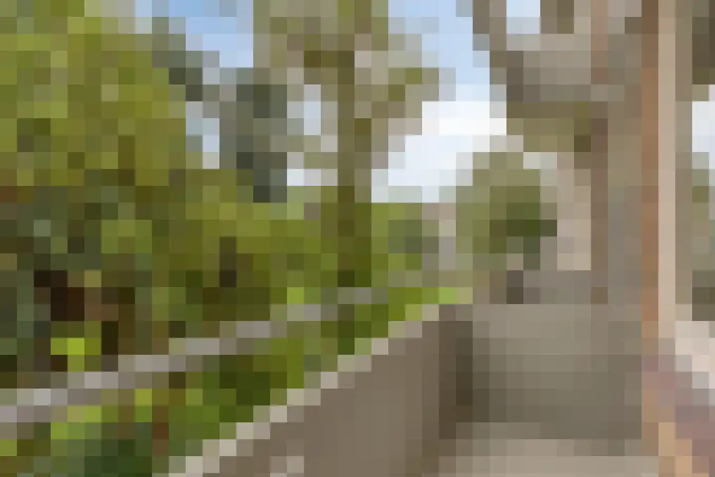Veldmaarschalk Montgomerylaan 841 Eindhoven thumbnail 26