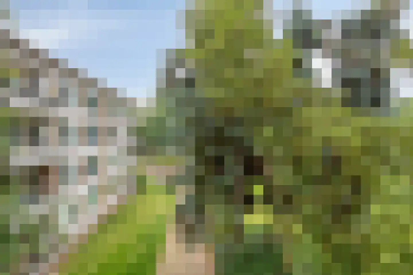 Veldmaarschalk Montgomerylaan 841 Eindhoven thumbnail 27
