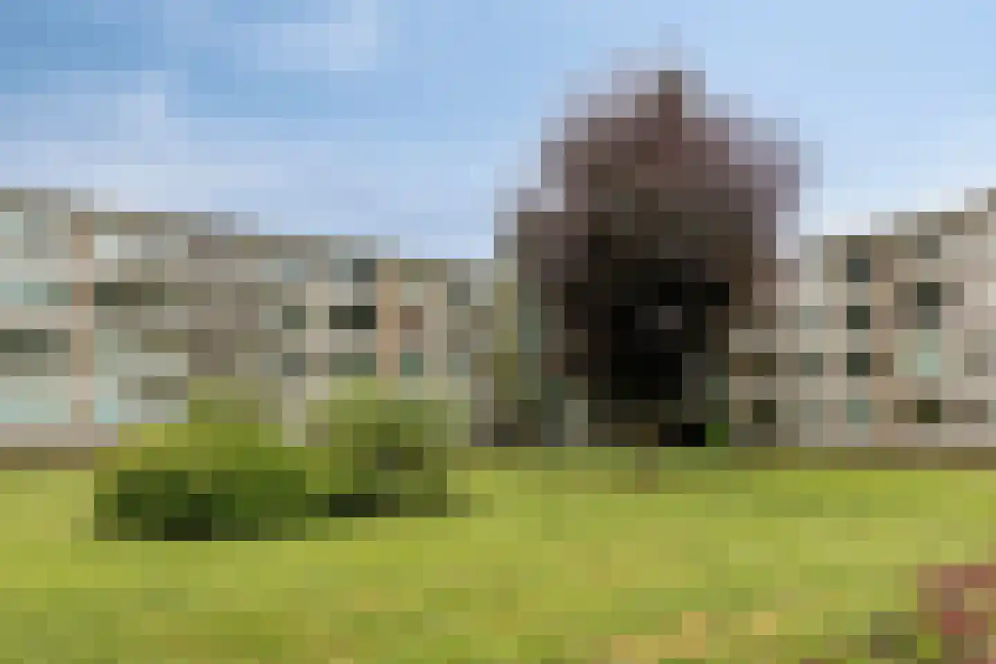 Veldmaarschalk Montgomerylaan 841 Eindhoven thumbnail 33