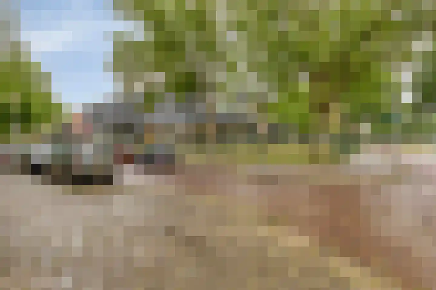 Veldmaarschalk Montgomerylaan 841 Eindhoven thumbnail 35