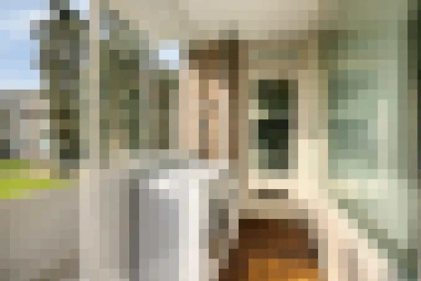 Veldmaarschalk Montgomerylaan 851 Eindhoven thumbnail 16