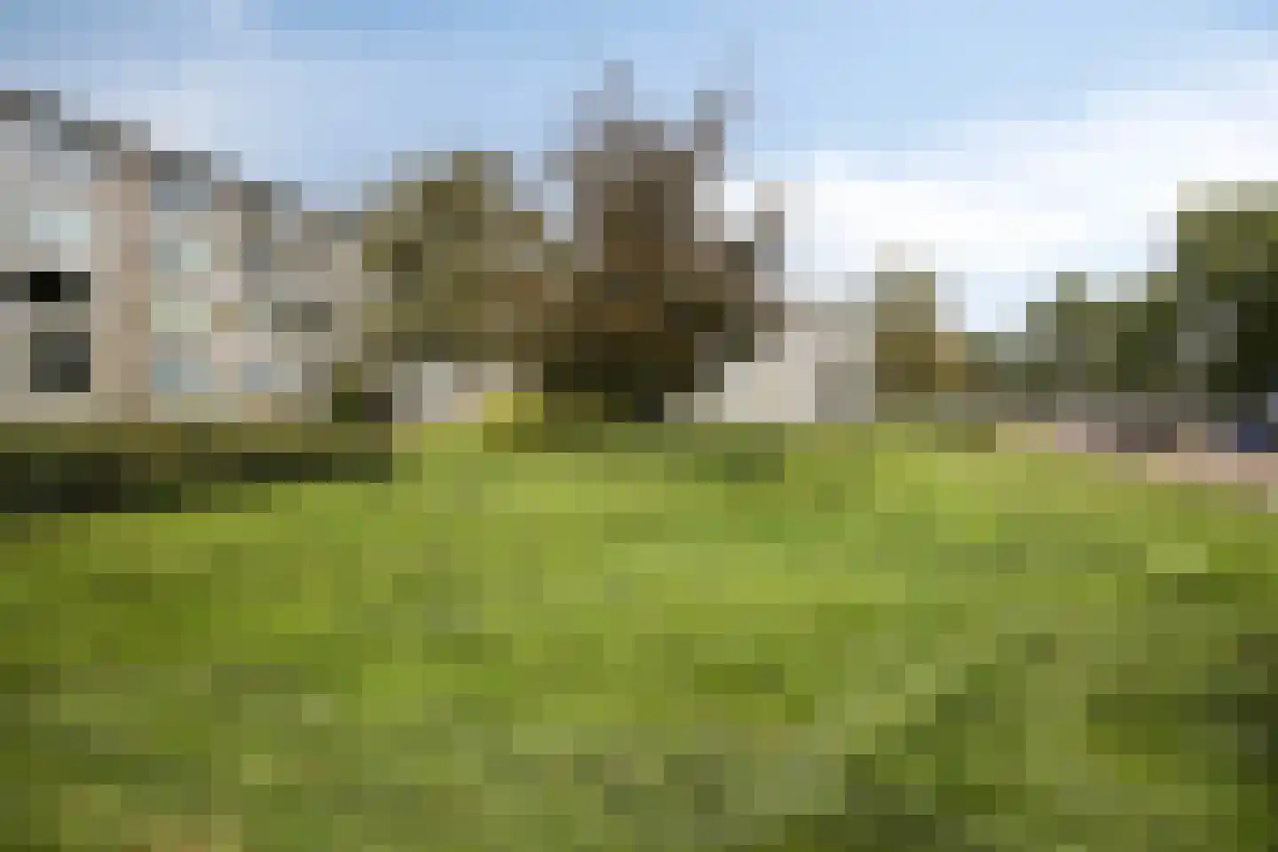 Veldmaarschalk Montgomerylaan 851 Eindhoven thumbnail 29