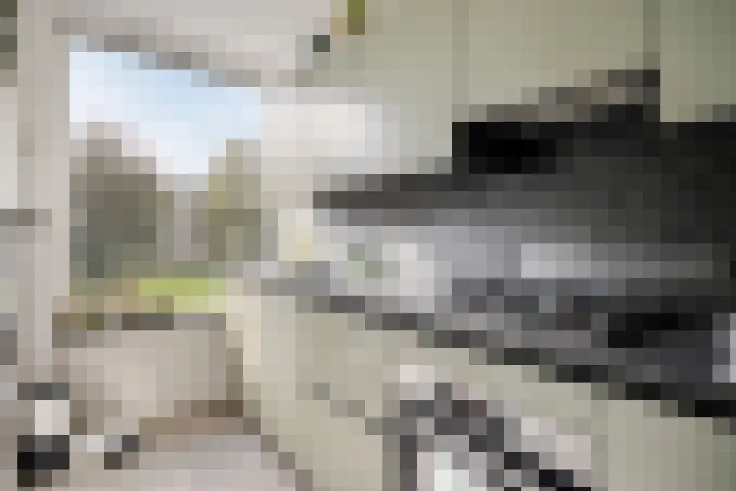 Veldmaarschalk Montgomerylaan 851 Eindhoven thumbnail 4