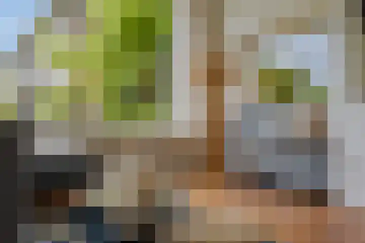 Veldmaarschalk Montgomerylaan 871 Eindhoven thumbnail 11
