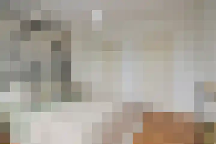 Veldmaarschalk Montgomerylaan 871 Eindhoven thumbnail 25